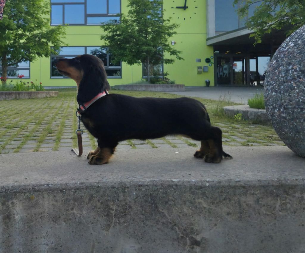 Publication : Of Moonlight Blue