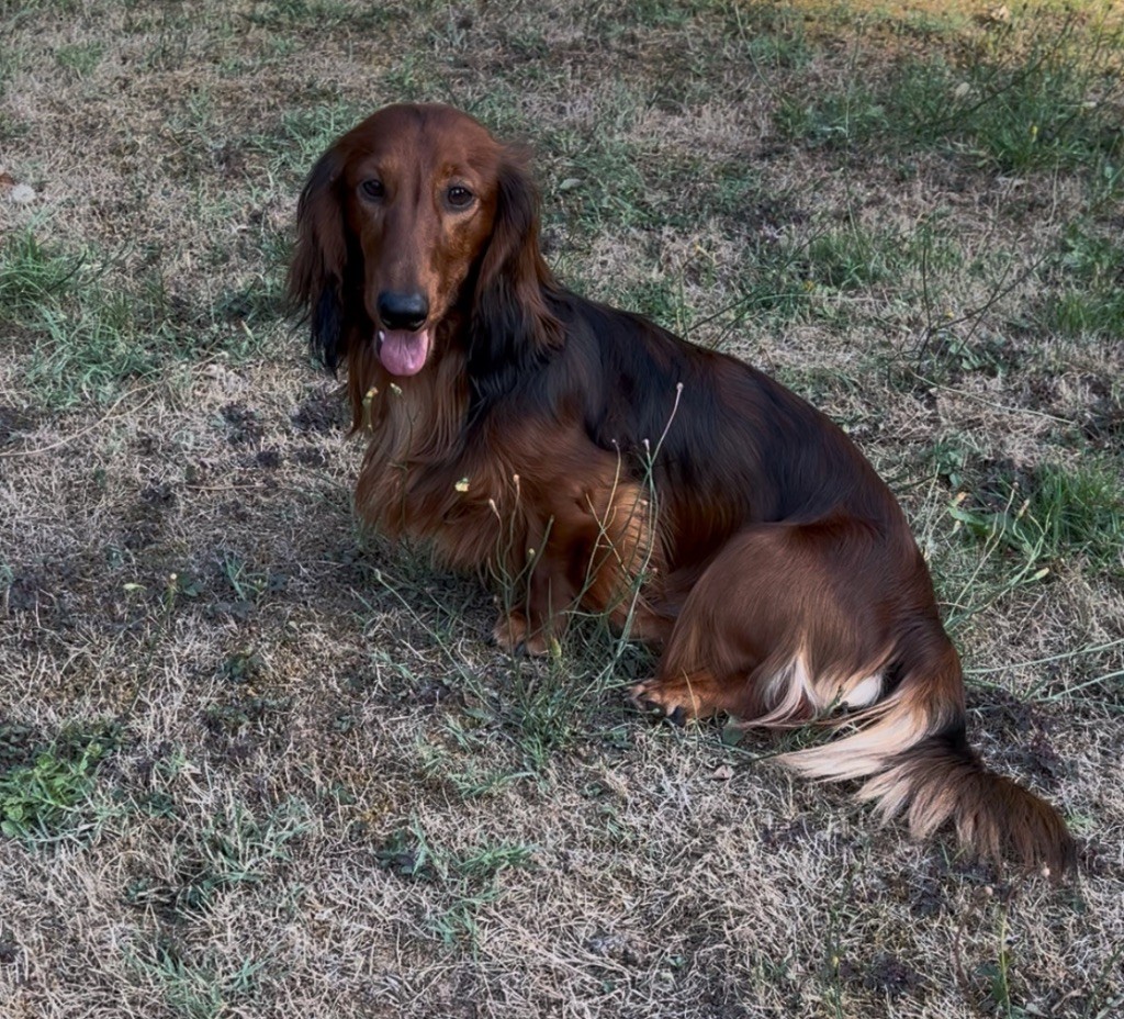 Publication : De La Légende Aux Marmeutons