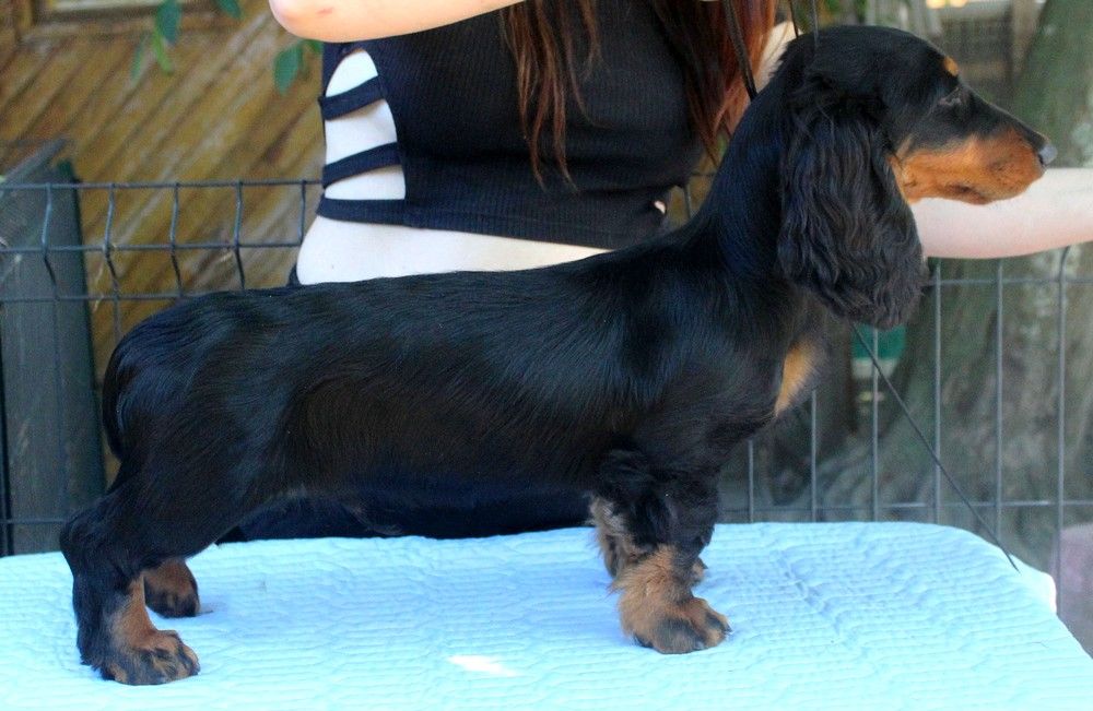 Publication : Of Moonlight Blue