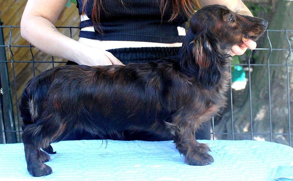 Publication : Of Moonlight Blue