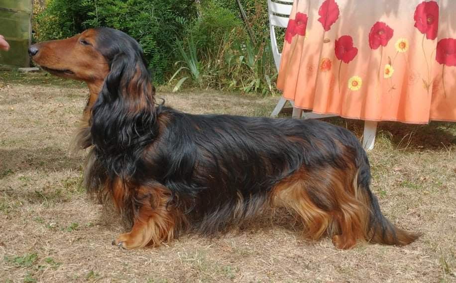 Publication : Von lawranshome 