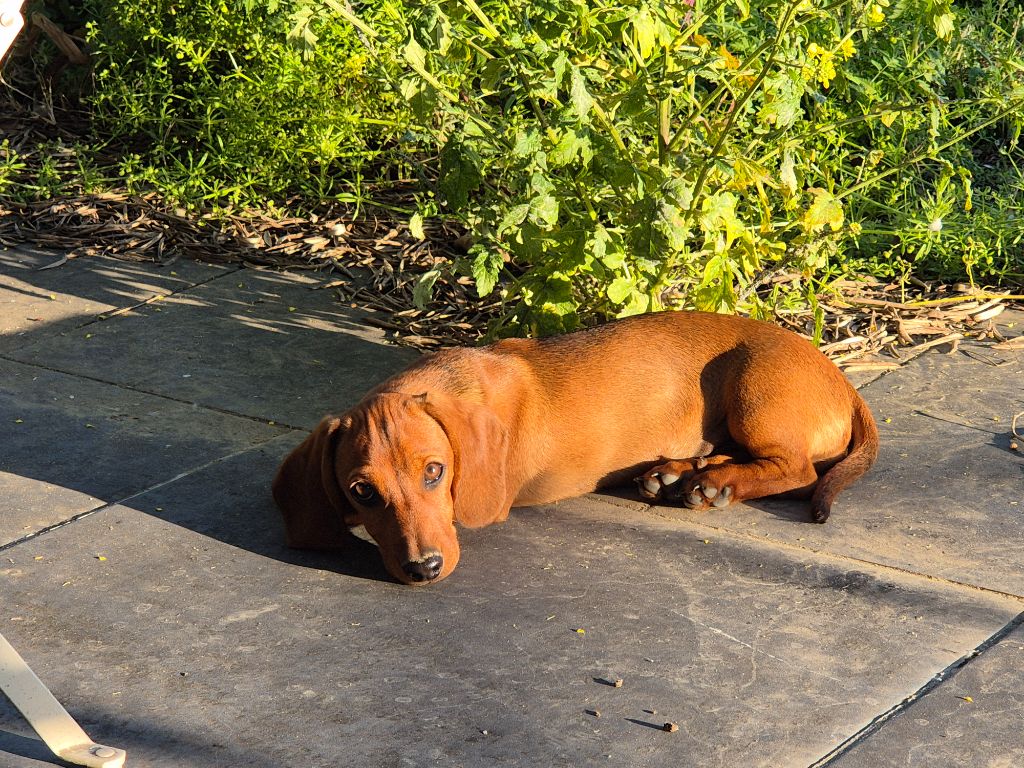 Publication : Du Domaine Des Fetiches 