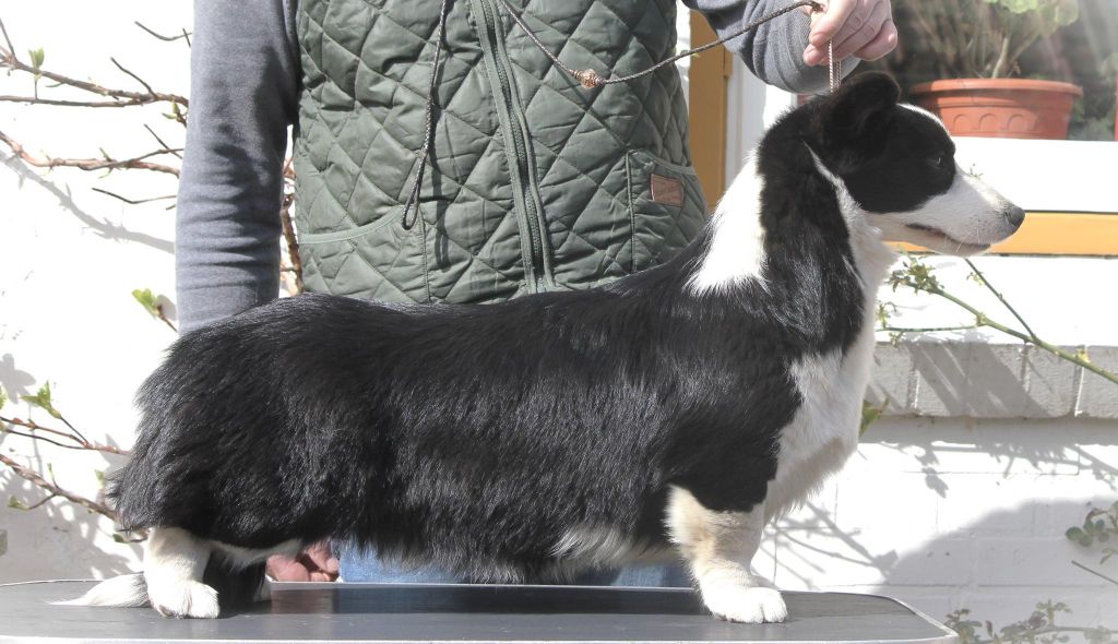 Publication : Prinkadiam 