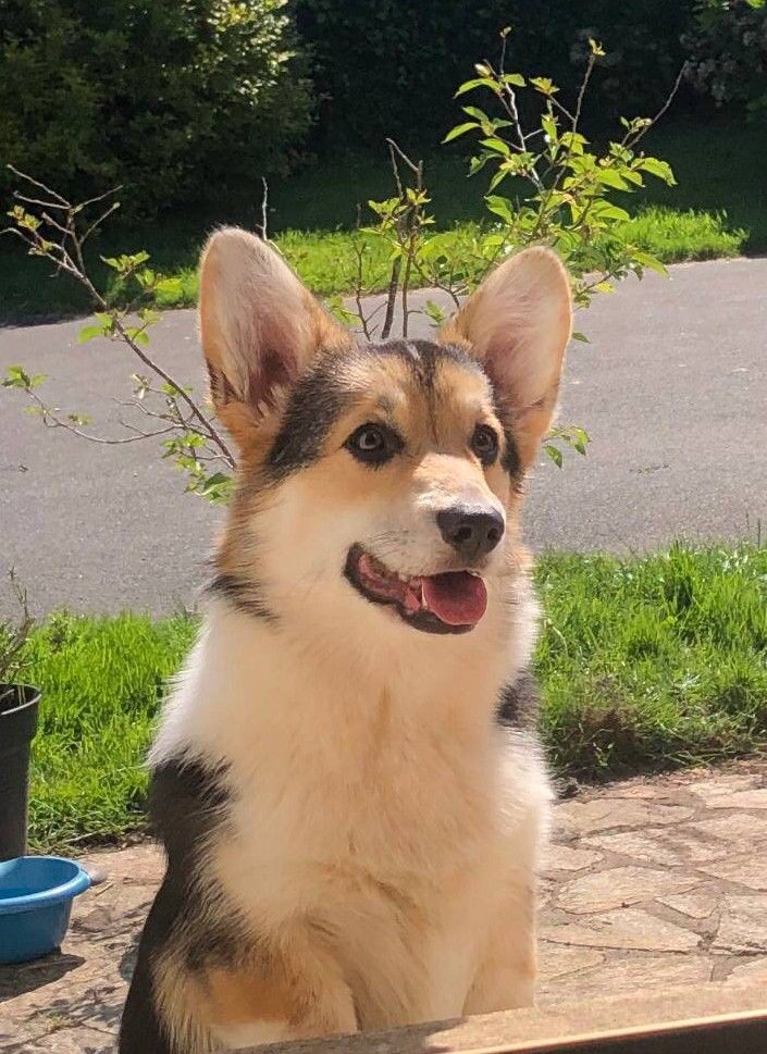 Publication : Prinkadiam Auteur : K-THOMAS