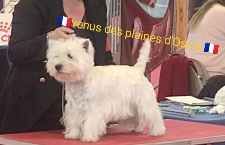 Publication : Des Plaines D’Osiris 