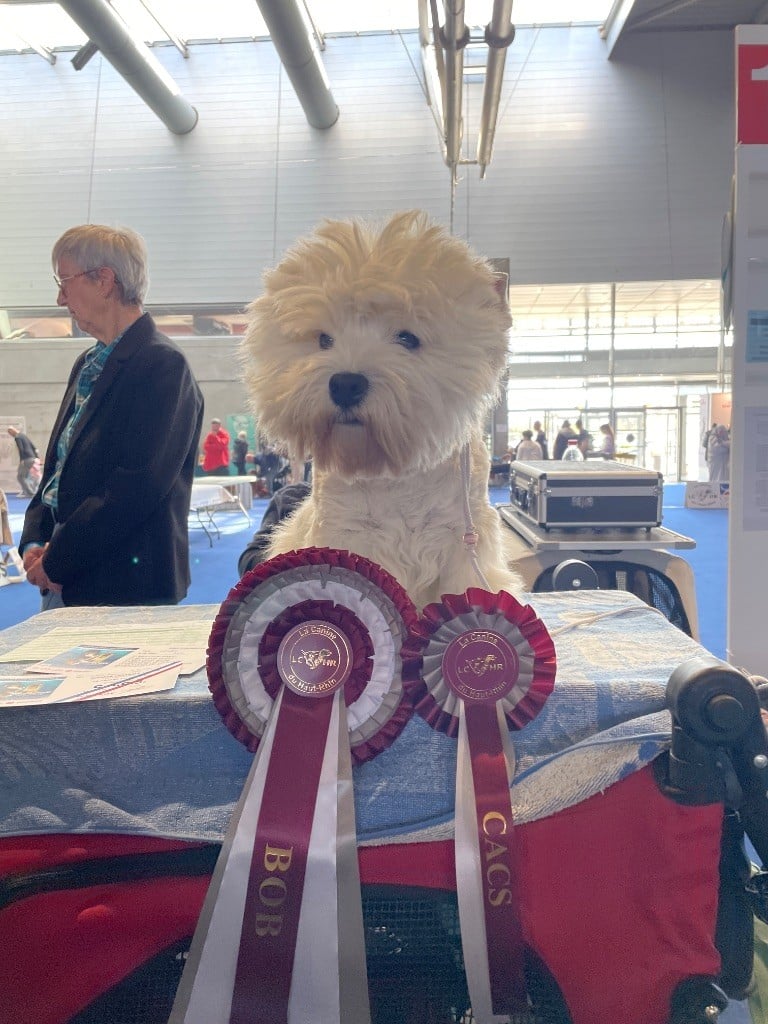 Publication : De Souffle Mistral Auteur : Jm