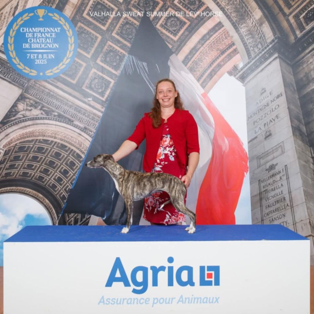 Publication : De Lev'horse Auteur : Agria