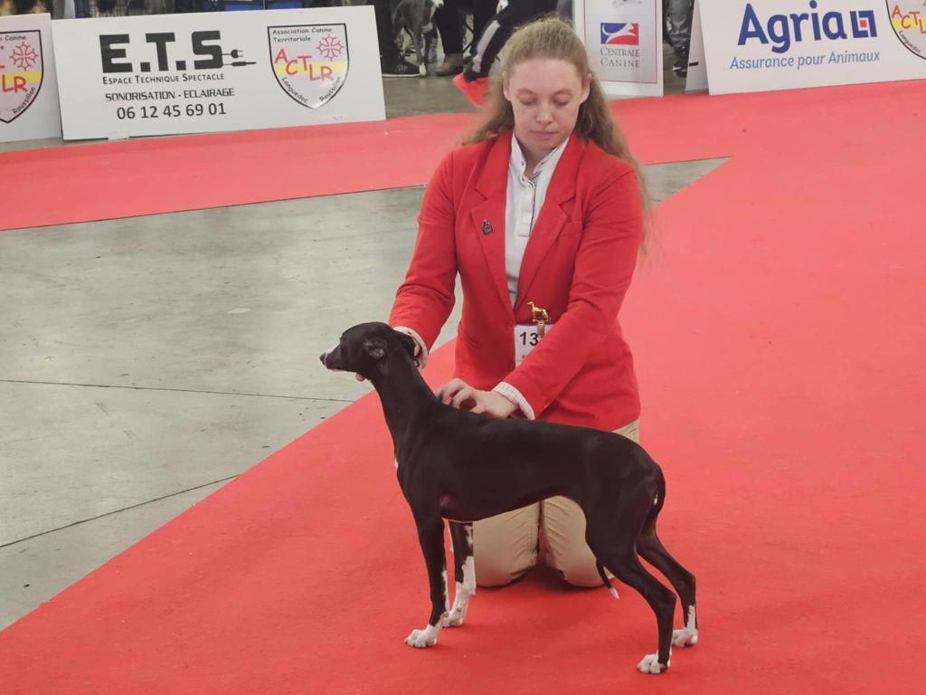 Publication : De Lev'horse Auteur : Agnes Huesca