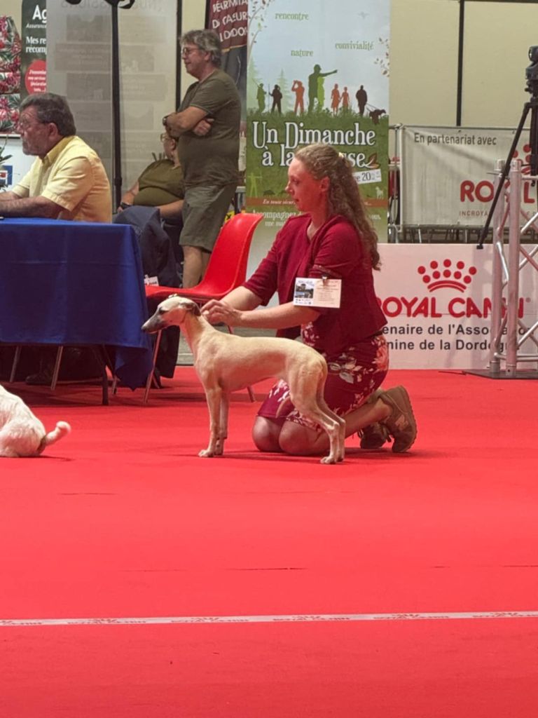 Publication : De Lev'horse