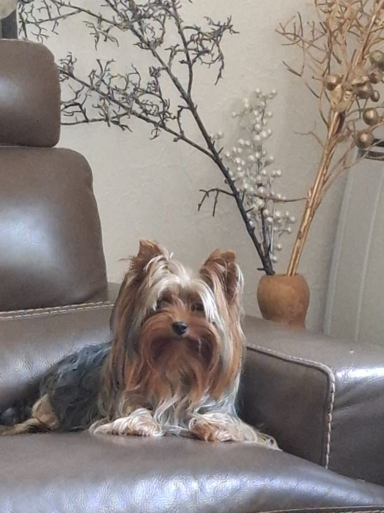 Publication : du clos d'Astepha