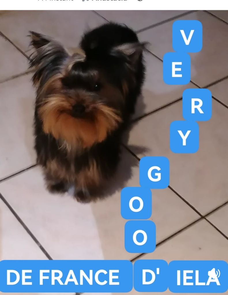 Publication : de France D'Iela Auteur : France d'iela 