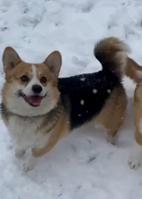 T'melinda De L'Univers D'Aïda