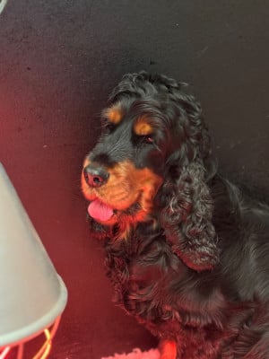 Ushka de La Constellation d'Heelou