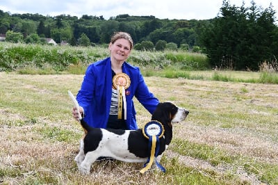 Étalon Basset Hound - Violette Des Mille Et Une Roses