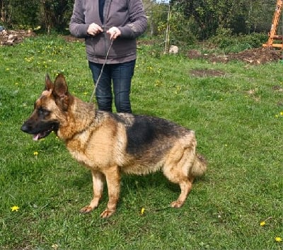 Sahara des landes d'argoat