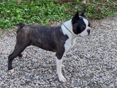 Un soir de pleine lune Du grand fresnoy