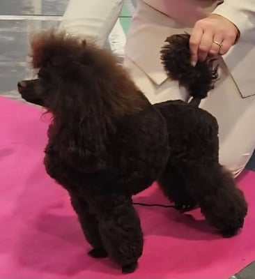 CH. M And C Signature Un point c est toi