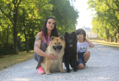 Étalon Eurasier - Teq paf Du Royaume D'ebène