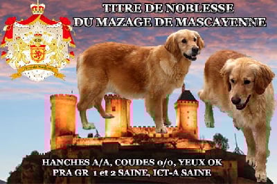 Titre de noblesse Du mazage de mascayenne