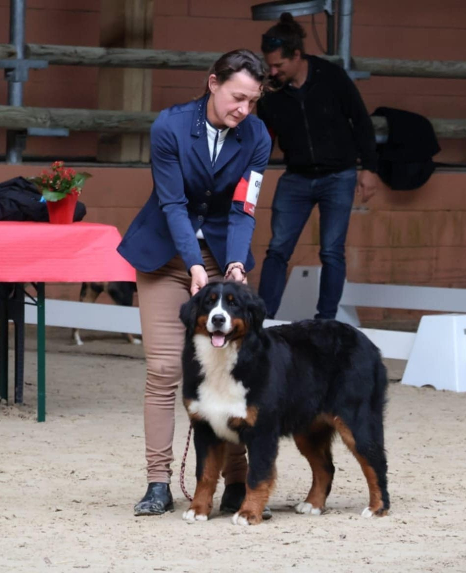 Publication : du royaume des reves 