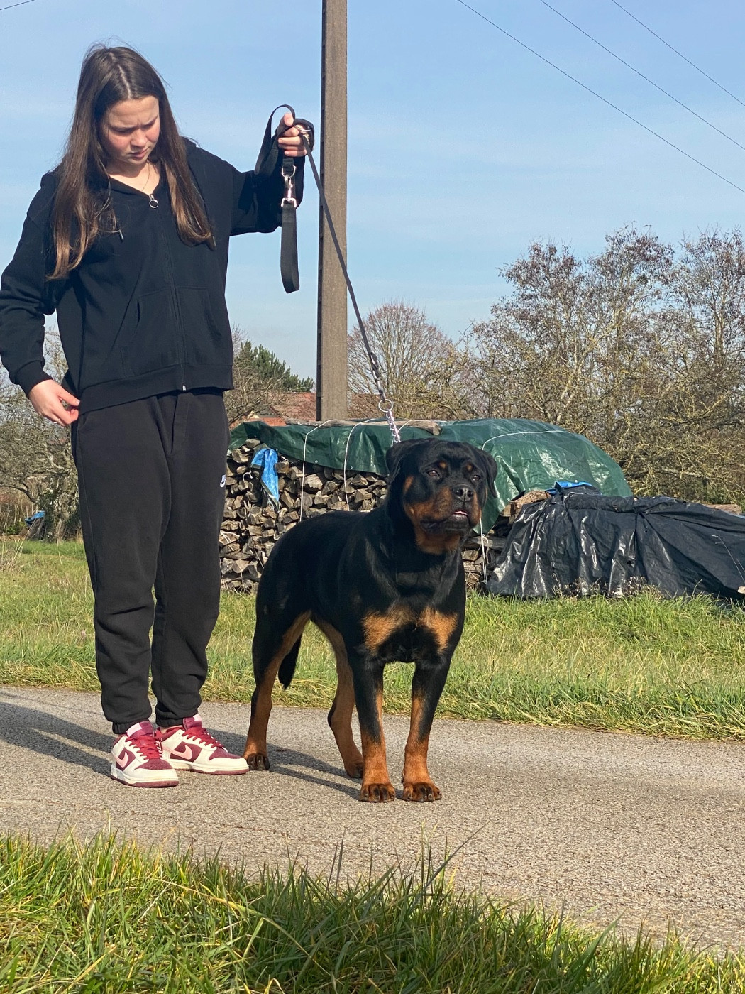 Publication : Du Dog-Builder 