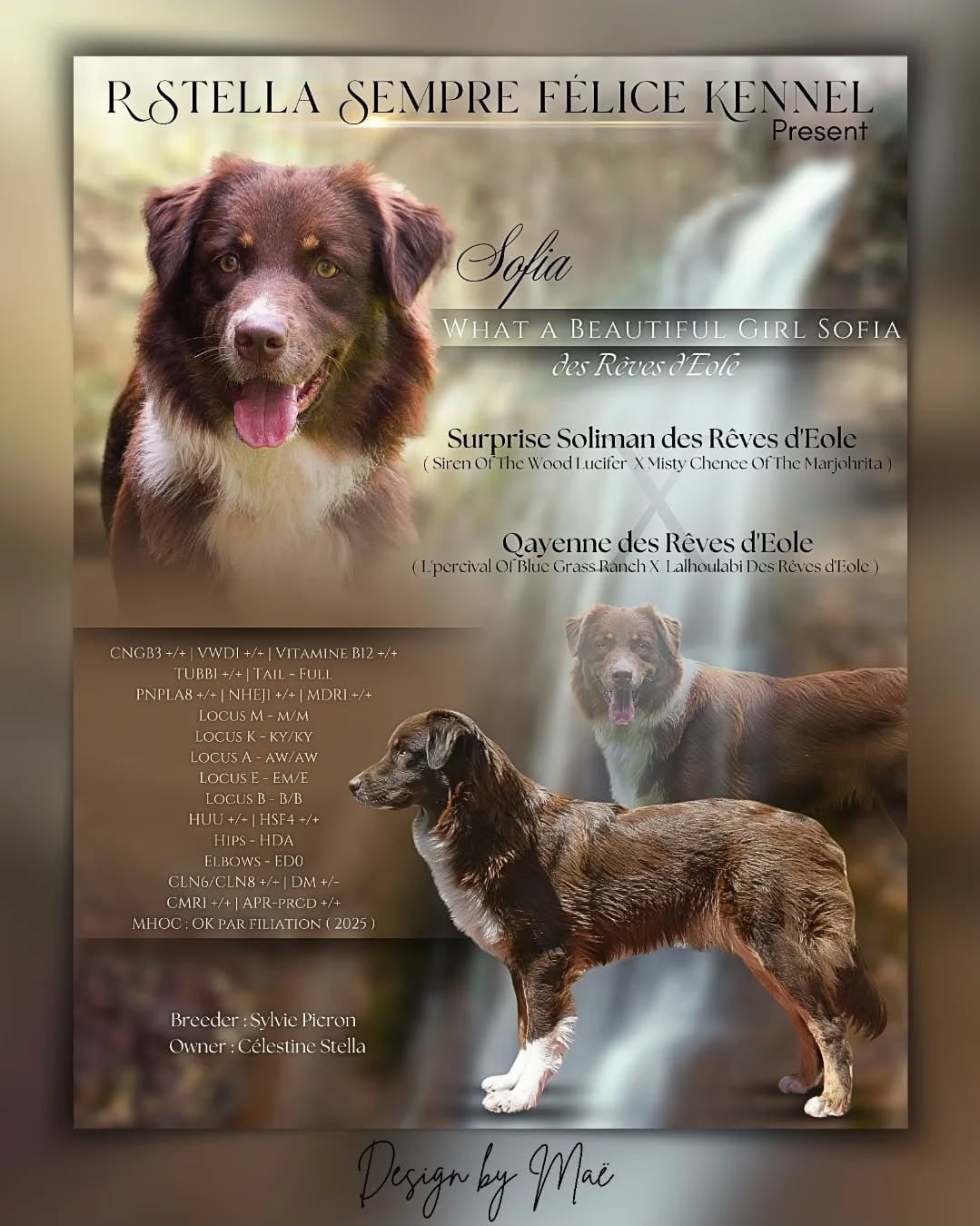 What A Beautiful Girl Sofia des Rêves d'Eole