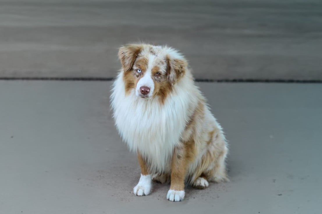 Publication : Des Merveilles d’Ilona 