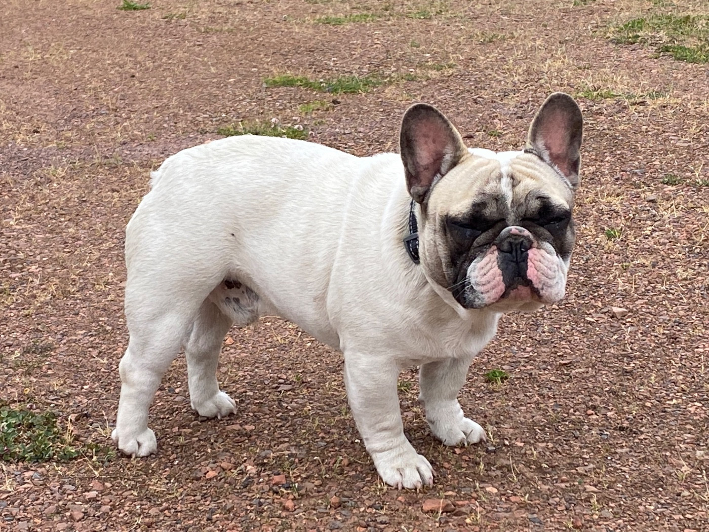 Publication : du square du p'tit quinquin