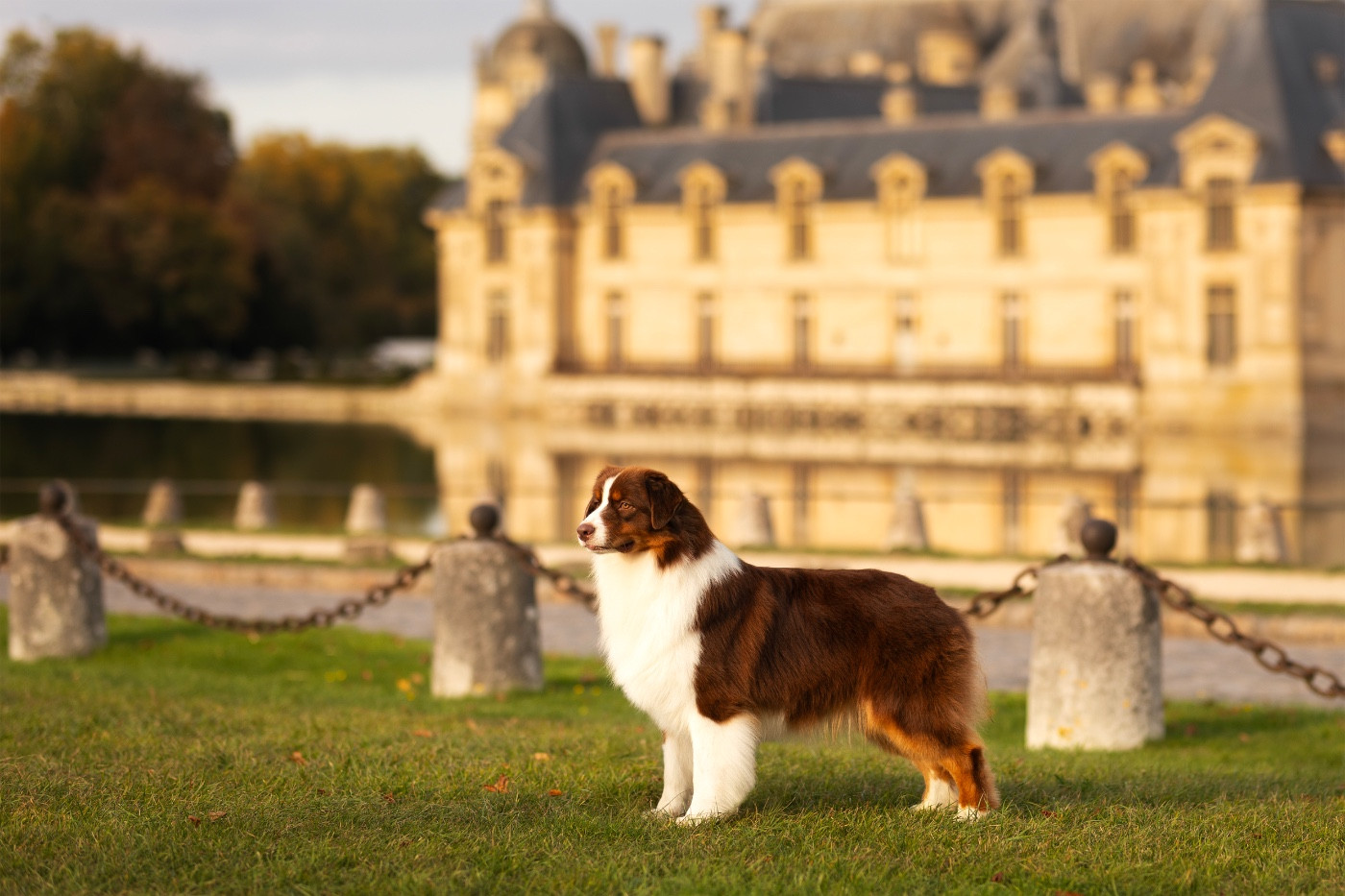 Publication : Di Bellu Soniu Auteur : Margot Guillet