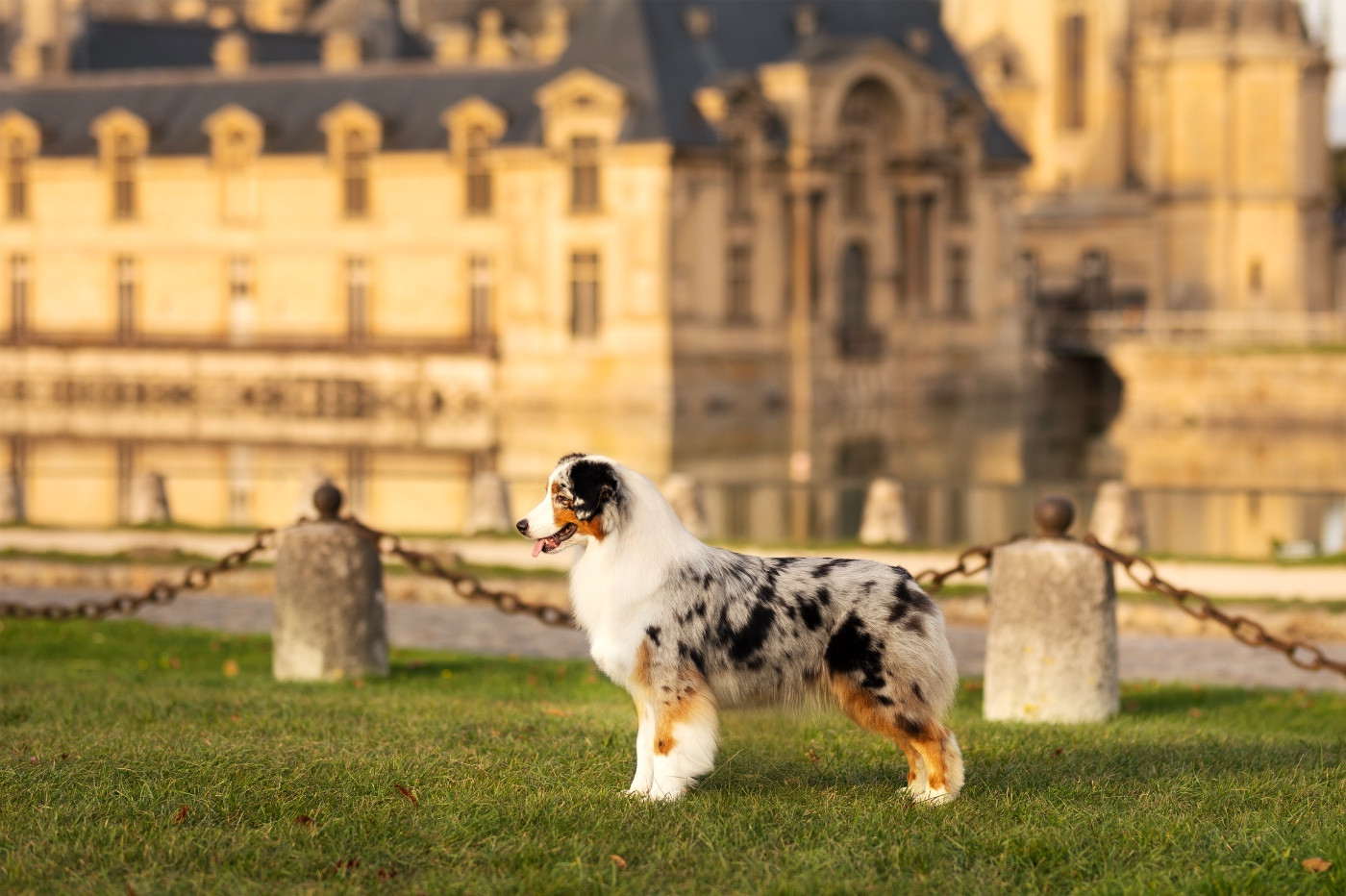 Publication : Di Bellu Soniu Auteur : Margot Guillet