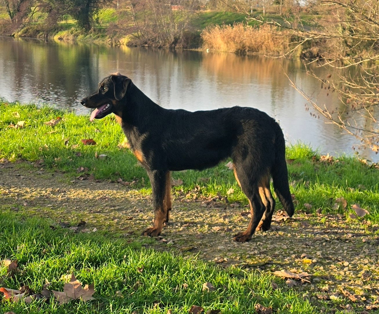 Publication : Du Clos Des Loutres 