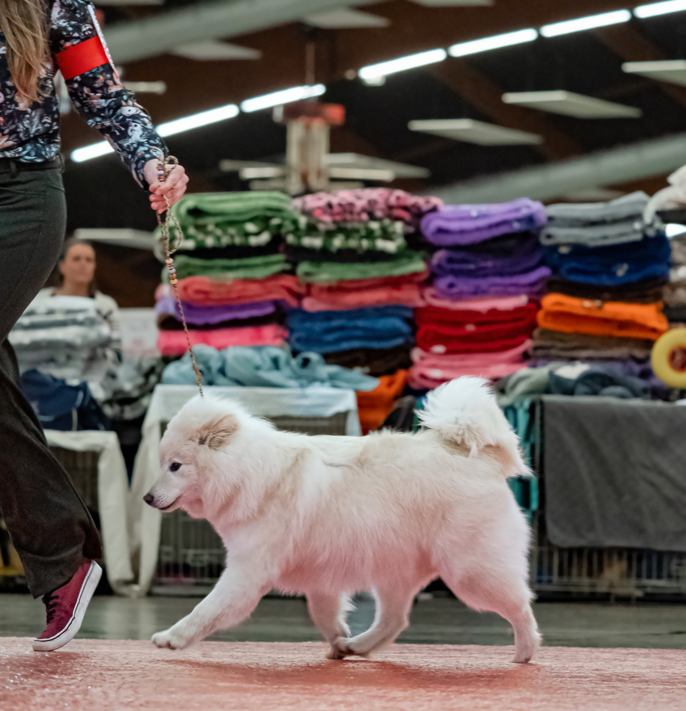 Publication : de la Nouvelle Aube Auteur : Elisa Narduzzi