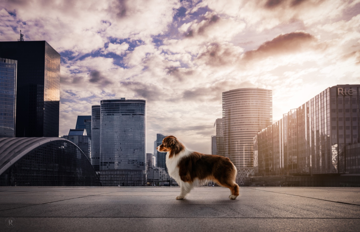 Publication : Di Bellu Soniu Auteur : Rosie Phang