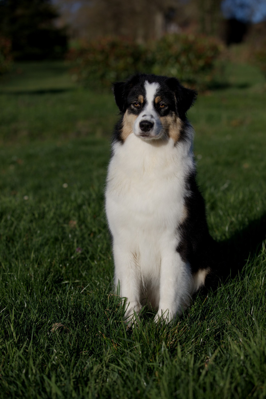 Publication : Of Low Highland