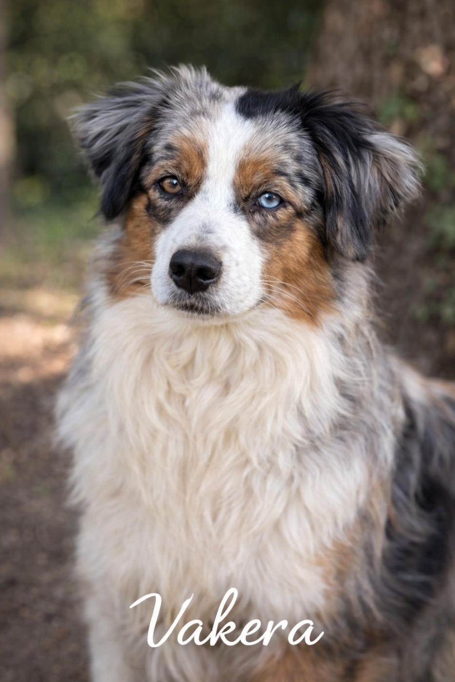 Publication : Of Mountains Love 