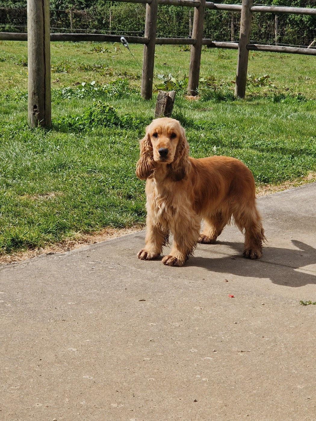 Publication : Du Domaine De La Verrinette 