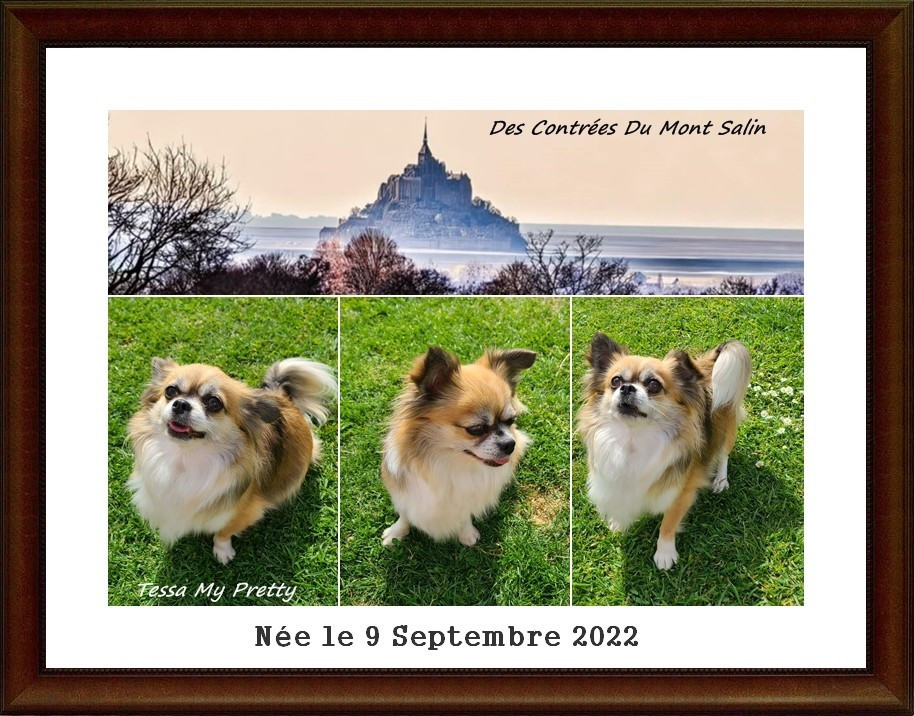 Publication : Des Contrees Du Mont Salin