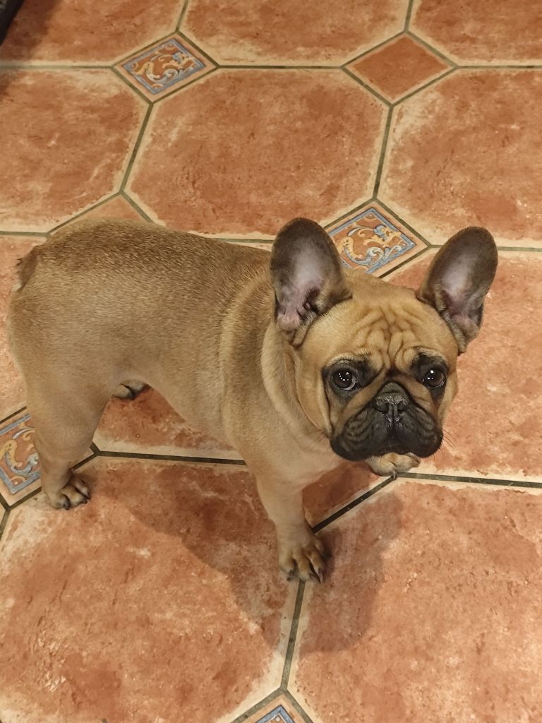 Publication : des bouilles de la Garonne 