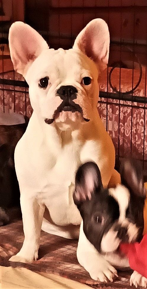 Publication : Clos Des Papéraks Auteur : MARIE-CHRISTINE LEBLANC