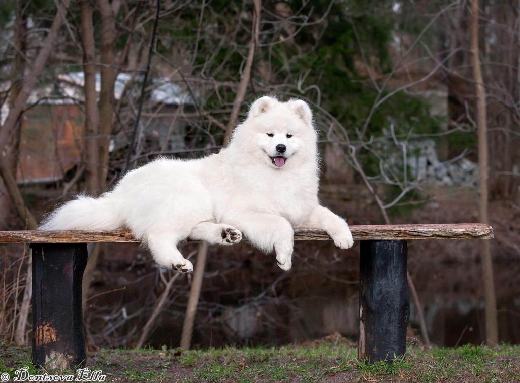 Publication : de la vallée de l'empereur 