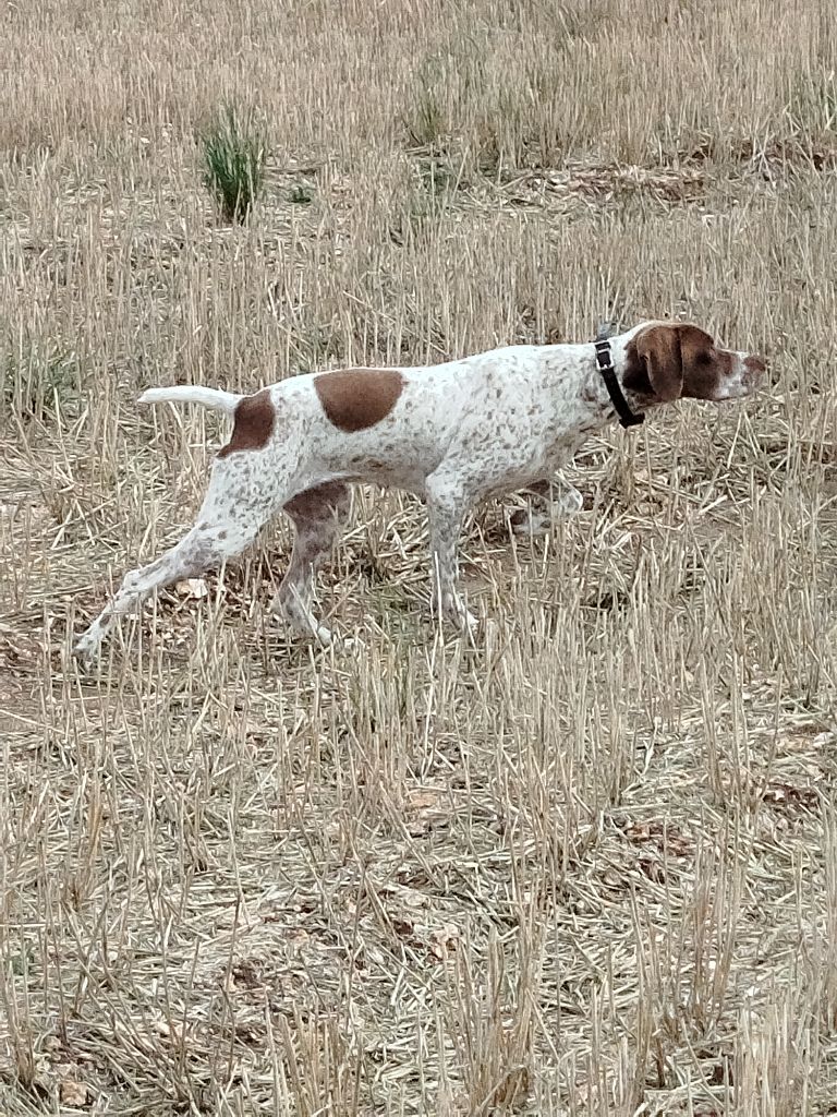 Publication : Du Moulin De Dionval 