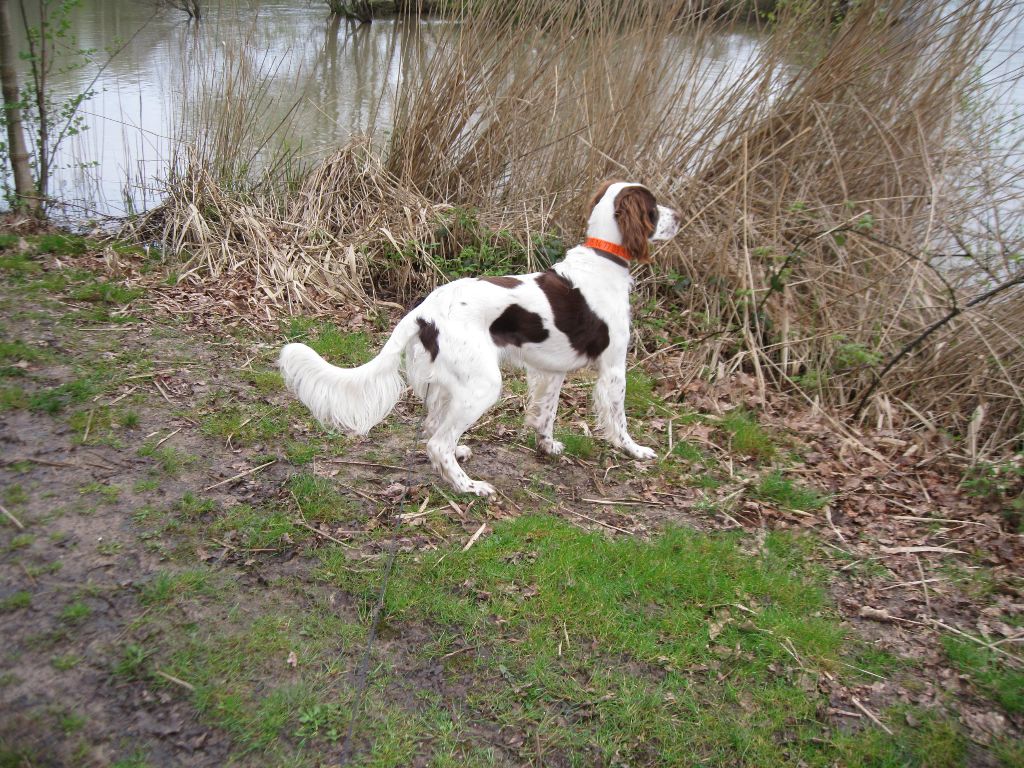 Publication : De La Coulee Ayguebelle 