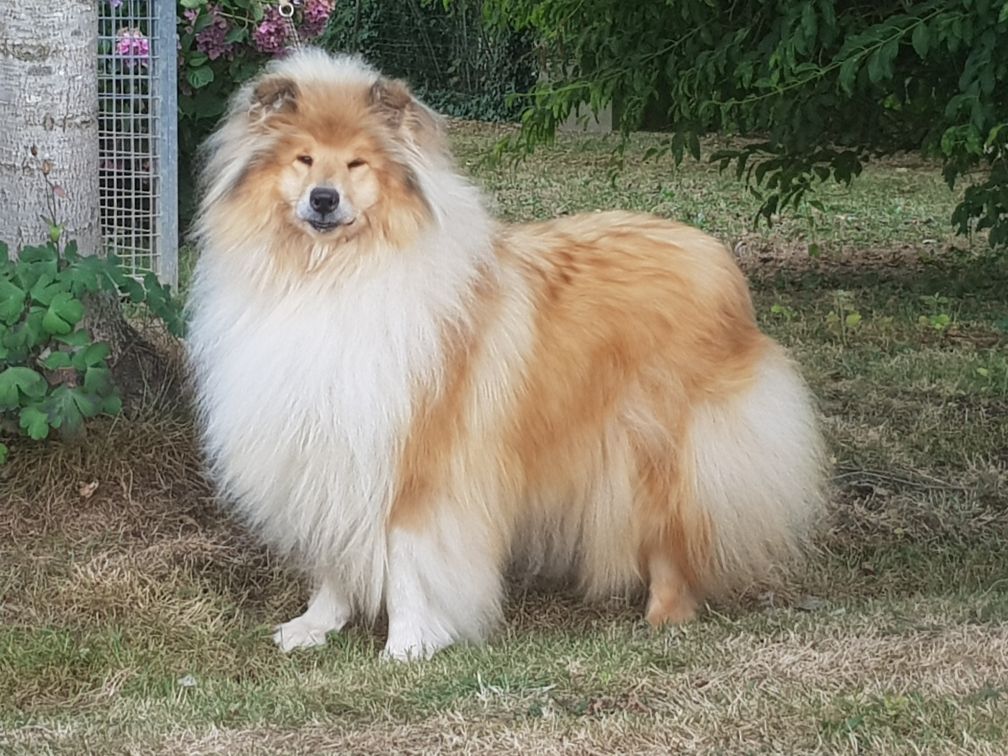 Publication : of River Tweed 