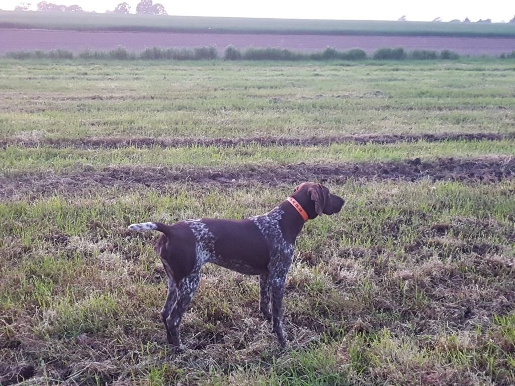 Publication : Des Douces Frontieres Mayennaises 