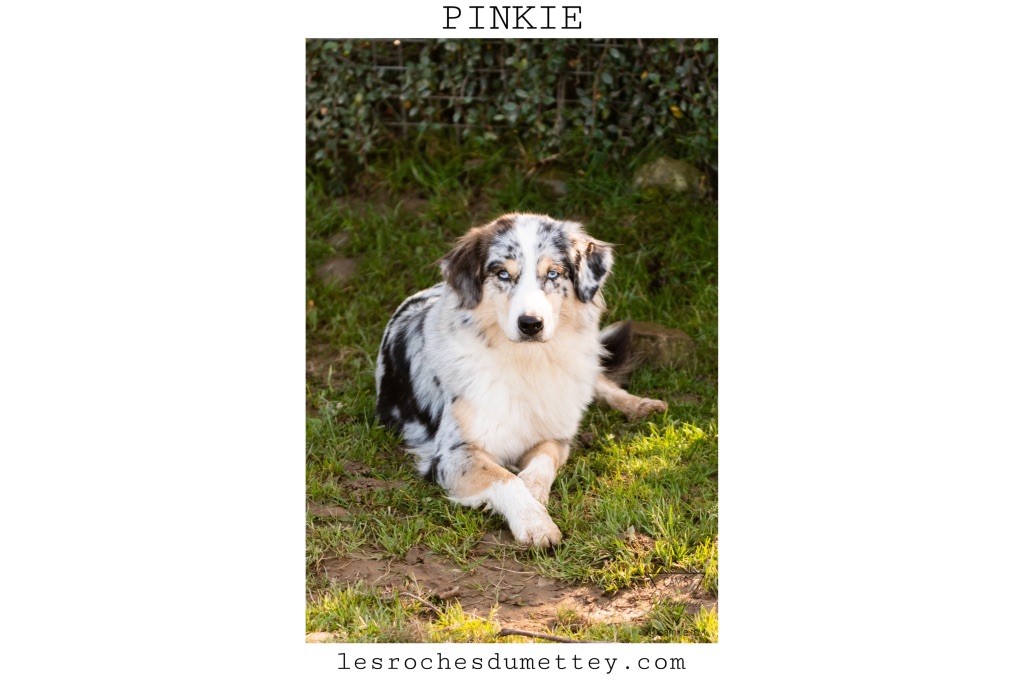 Publication : de la tour de milandre 