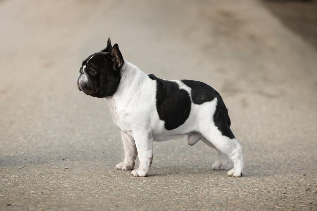 Publication : Du domaine de liana