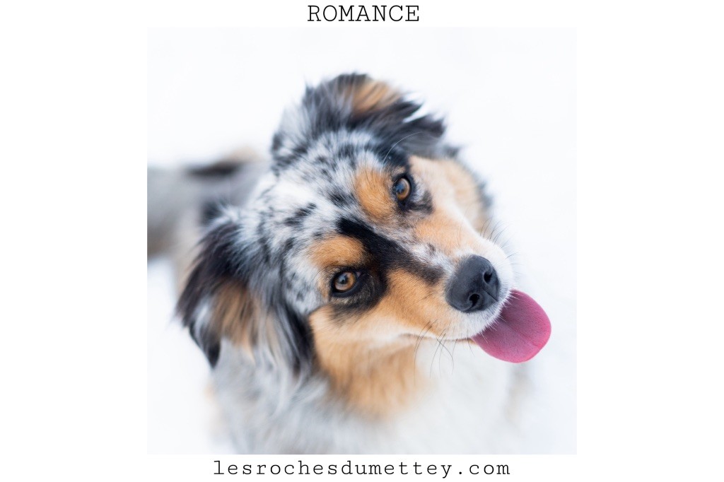 Publication : de la tour de milandre 