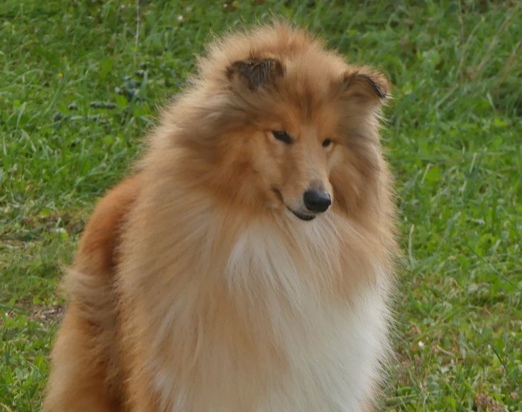 Publication : De La Nit