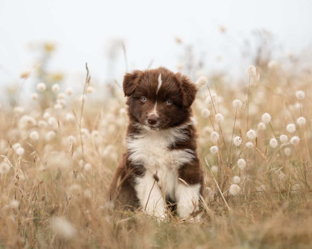 Publication : (Sans Affixe) 