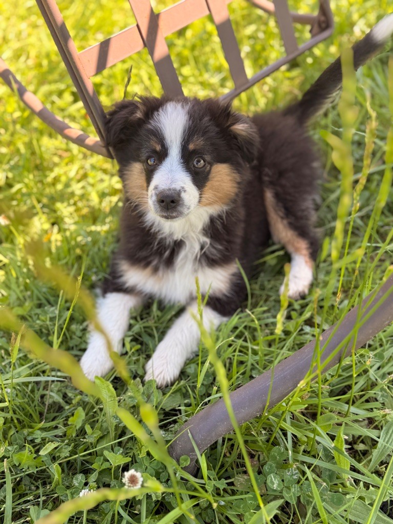 Publication : Of Mountains Love 